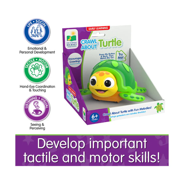 Early Learning Craw About Turtle Kids Crawling Turtle Toy- Moves Across The Floor/ Fun Melodies Kids Fun Entertainment