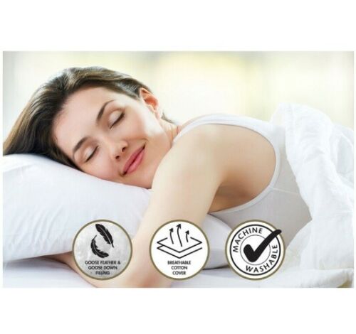 Hacienda 2PK Luxurious Goose Feather & Down Fitting Pillow-1000gsm 75cm Washable - Sydney Electronics